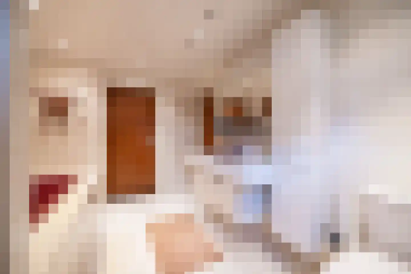 Keppelseweg 16 Wehl thumbnail 46