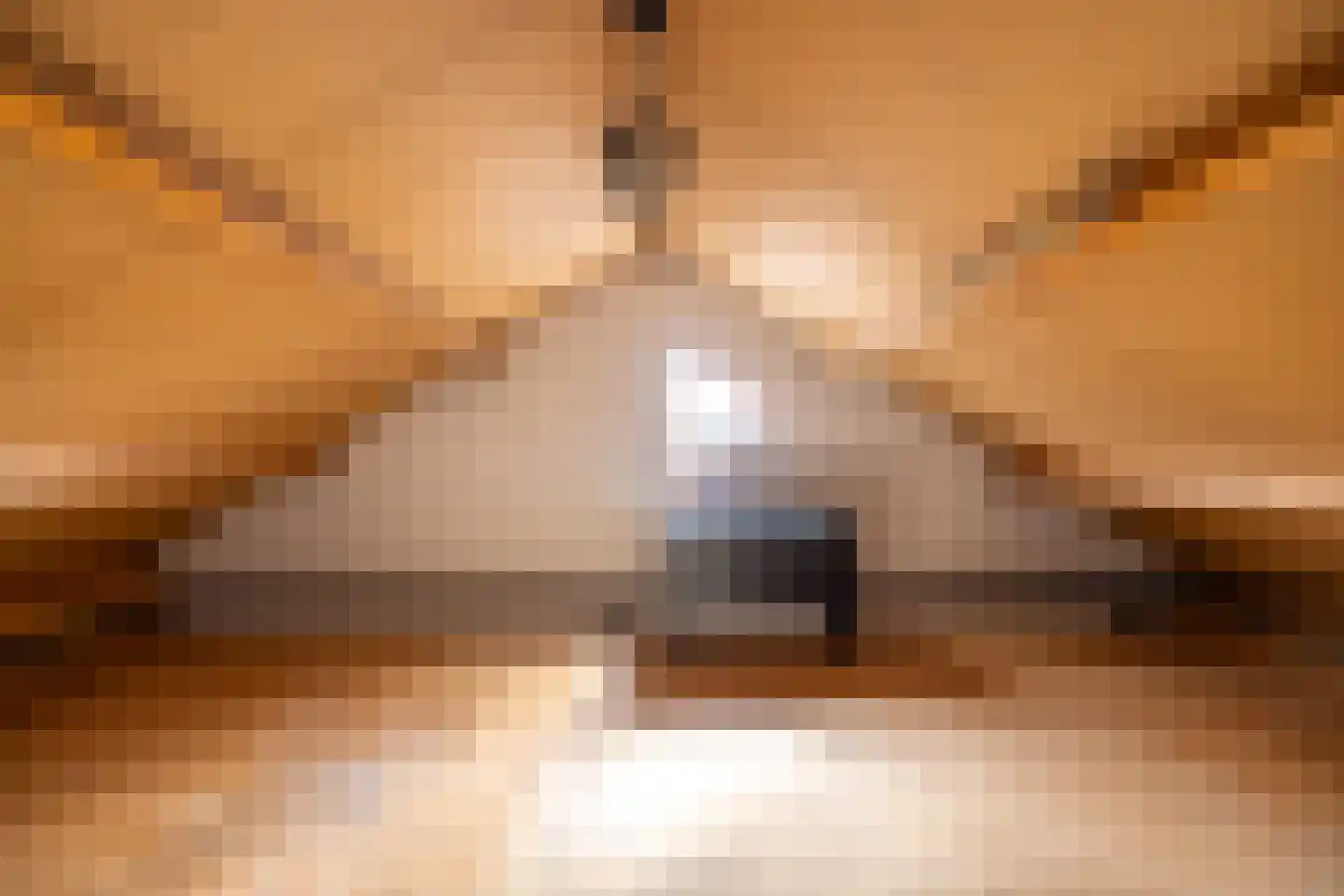 Keppelseweg 16 Wehl thumbnail 48