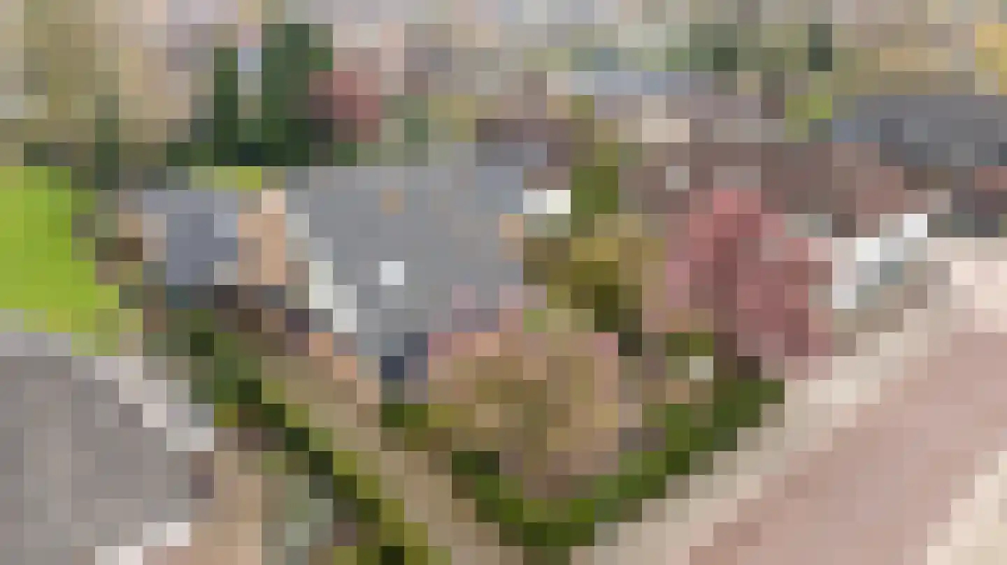 Keppelseweg 16 Wehl thumbnail 53