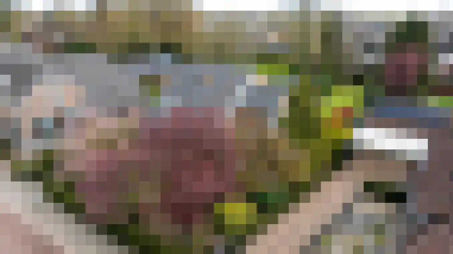 Keppelseweg 16 Wehl thumbnail 54