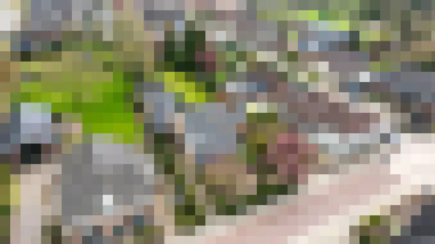 Keppelseweg 16 Wehl thumbnail 56