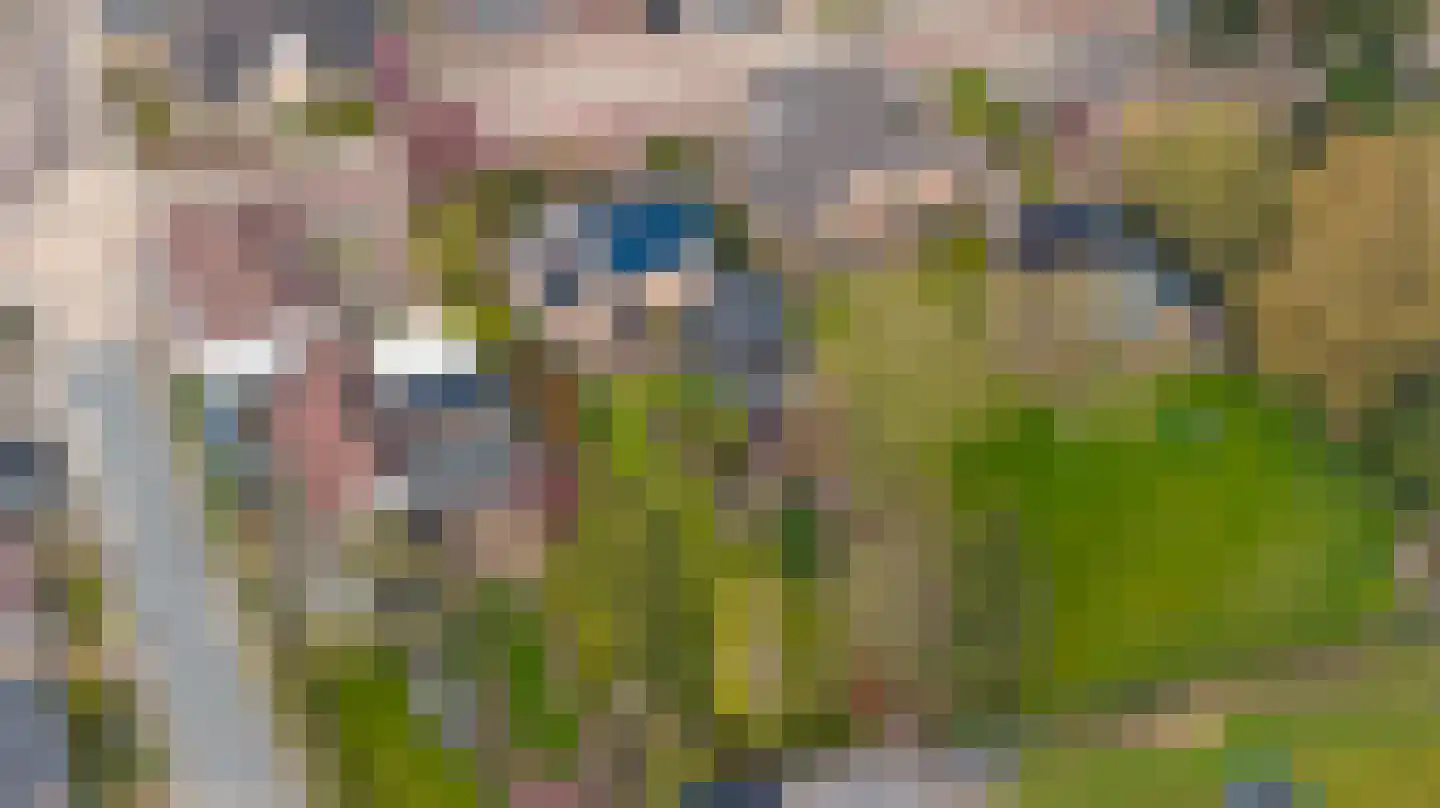 Keppelseweg 16 Wehl thumbnail 58