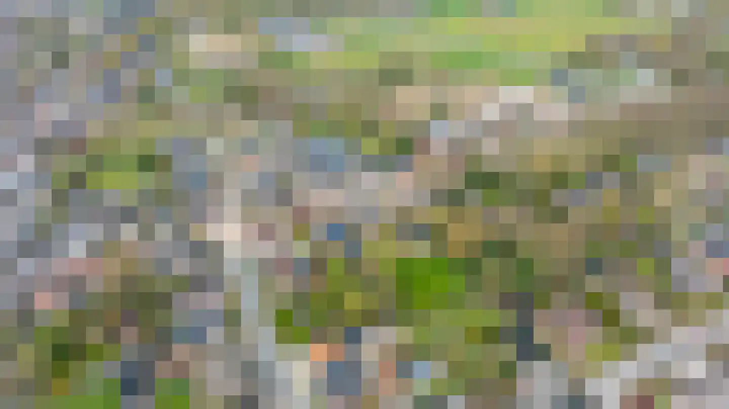 Keppelseweg 16 Wehl thumbnail 59