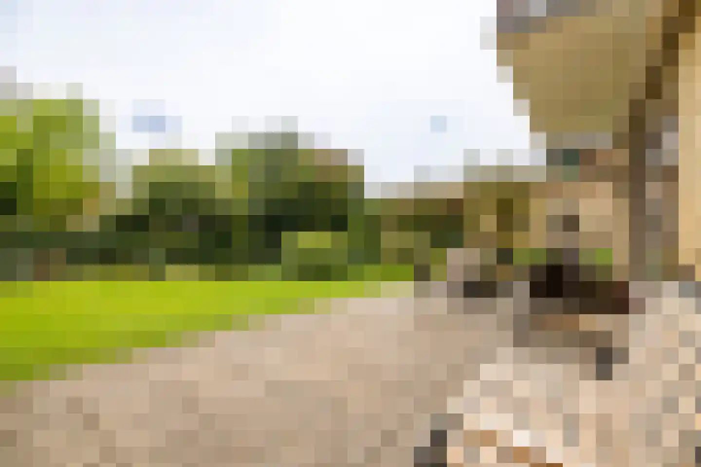 Keppelseweg 17 Hummelo thumbnail 22