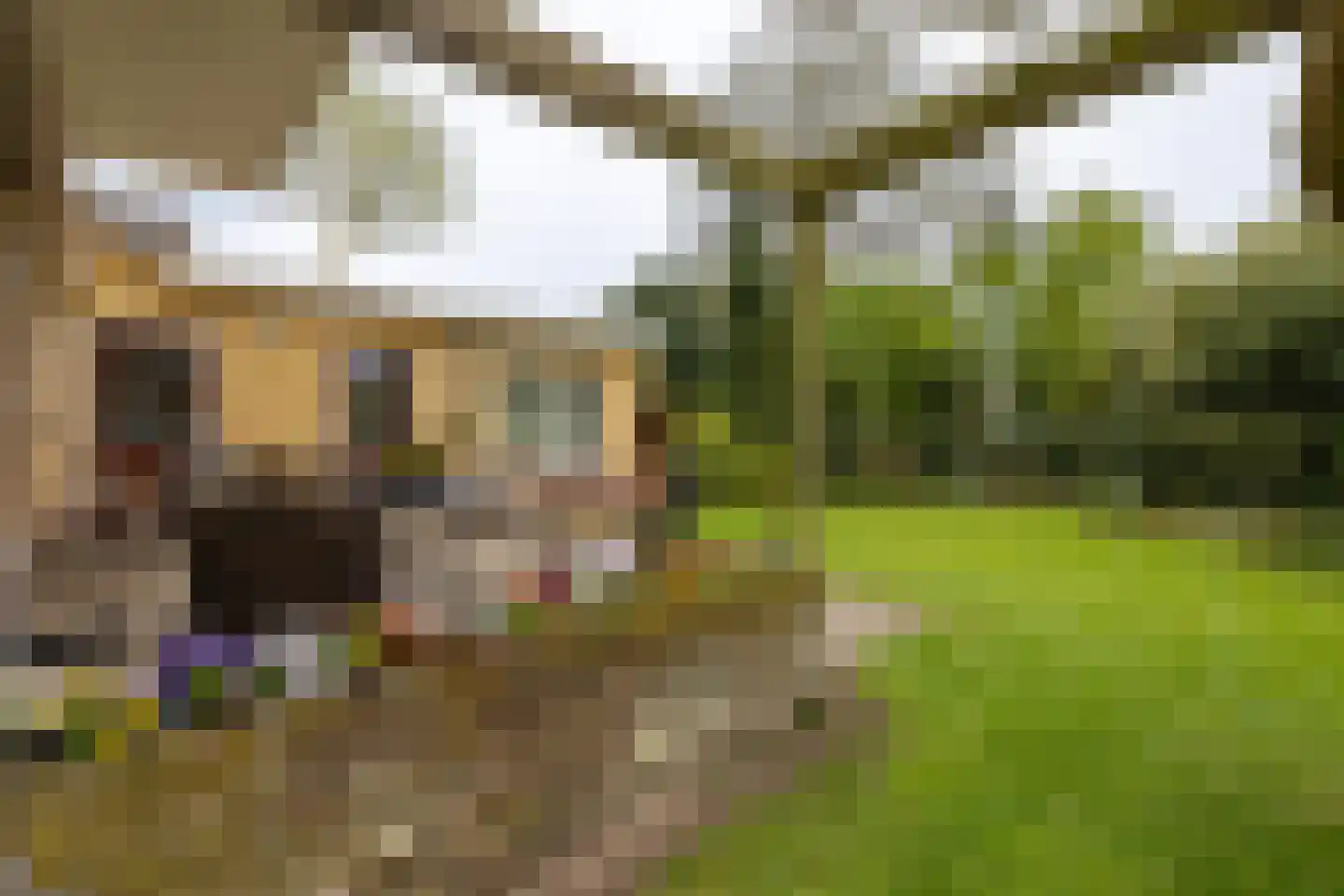 Keppelseweg 17 Hummelo thumbnail 27