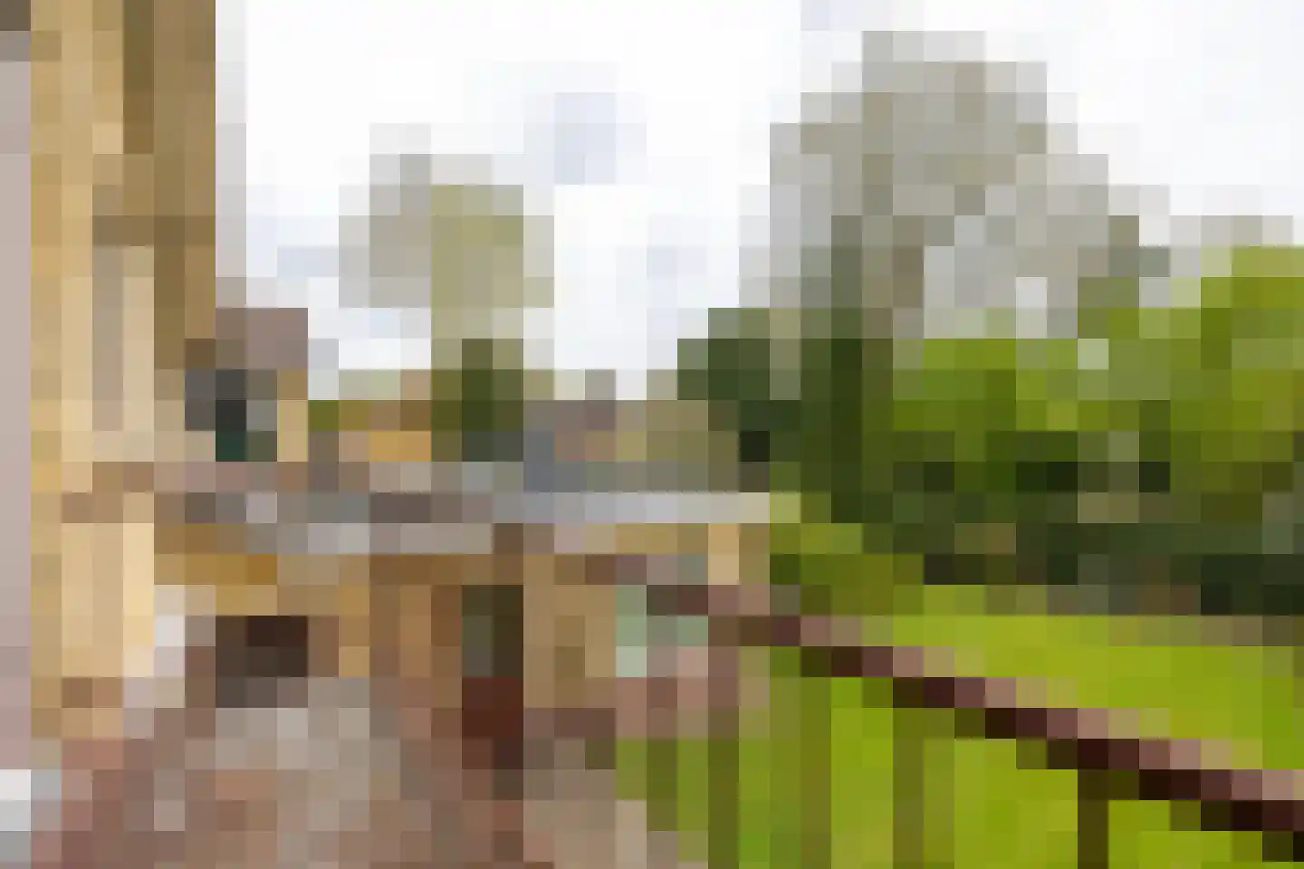 Keppelseweg 17 Hummelo thumbnail 43