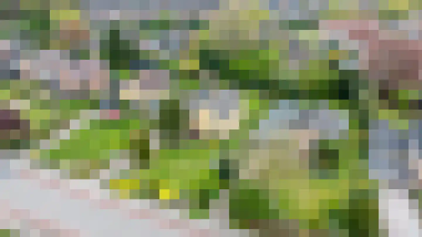 Keppelseweg 17 Hummelo thumbnail 54