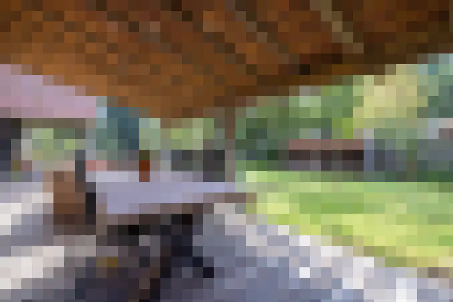 Keppelseweg 337 Doetinchem thumbnail 19