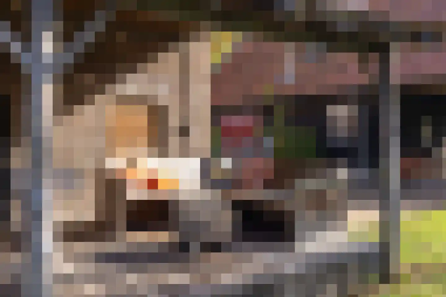 Keppelseweg 337 Doetinchem thumbnail 20