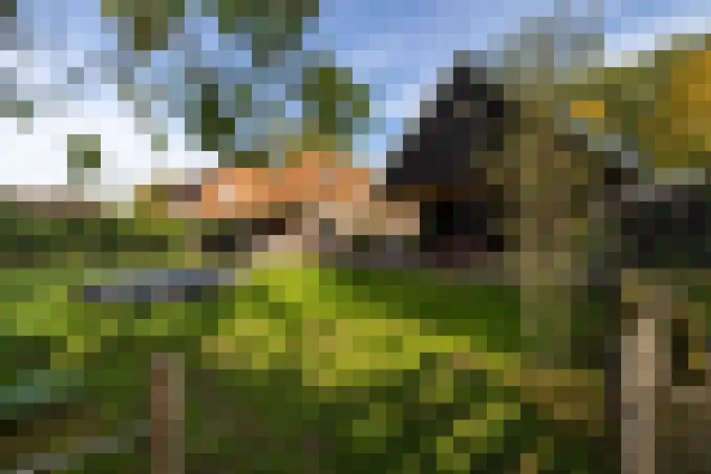 Keppelseweg 337 Doetinchem thumbnail 23