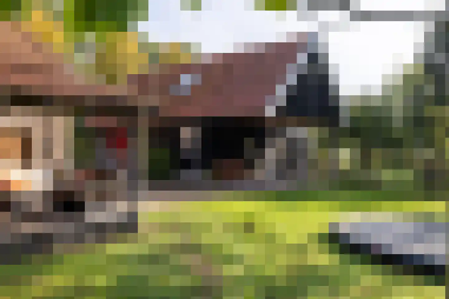 Keppelseweg 337 Doetinchem thumbnail 24