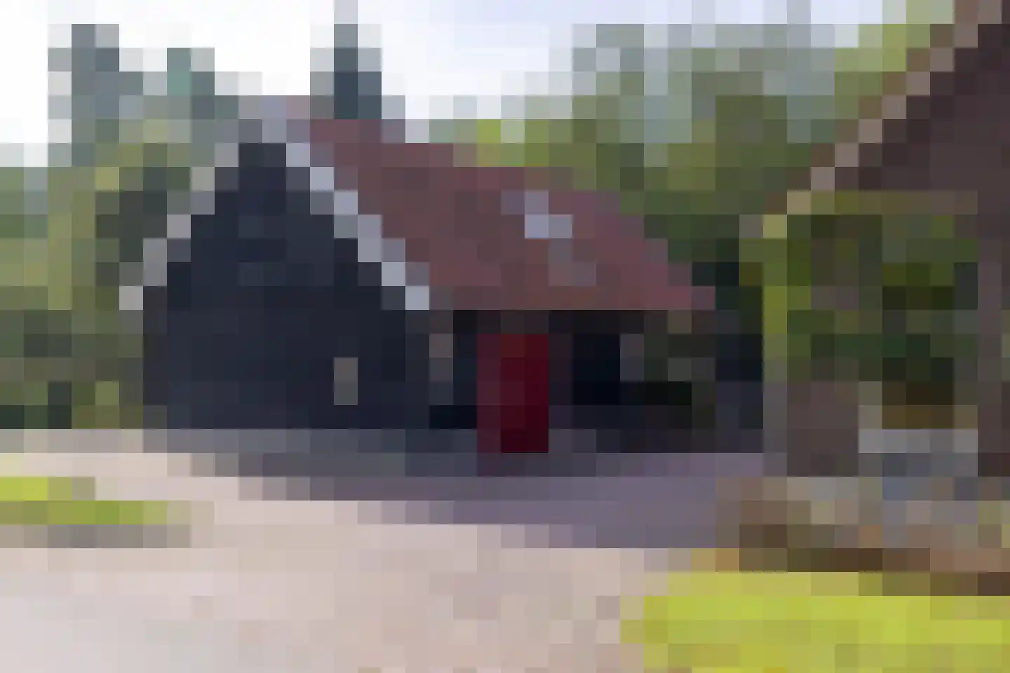 Keppelseweg 337 Doetinchem thumbnail 50