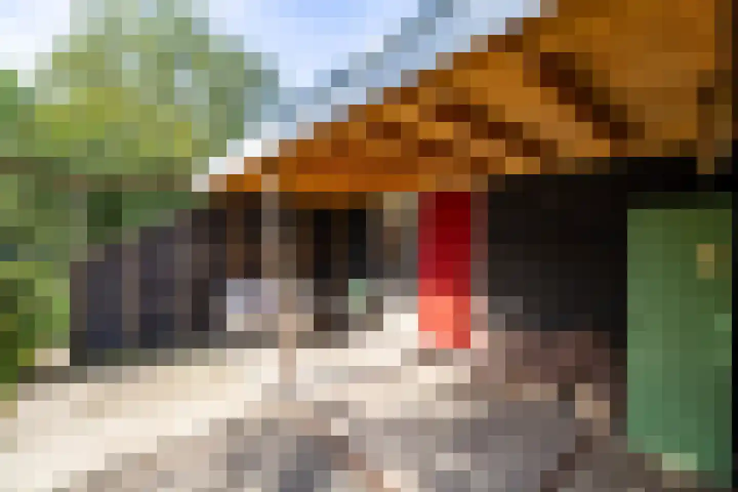 Keppelseweg 337 Doetinchem thumbnail 53