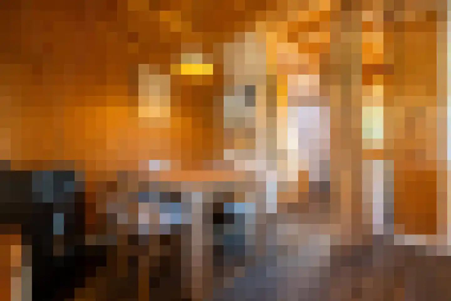 Keppelseweg 337 Doetinchem thumbnail 55