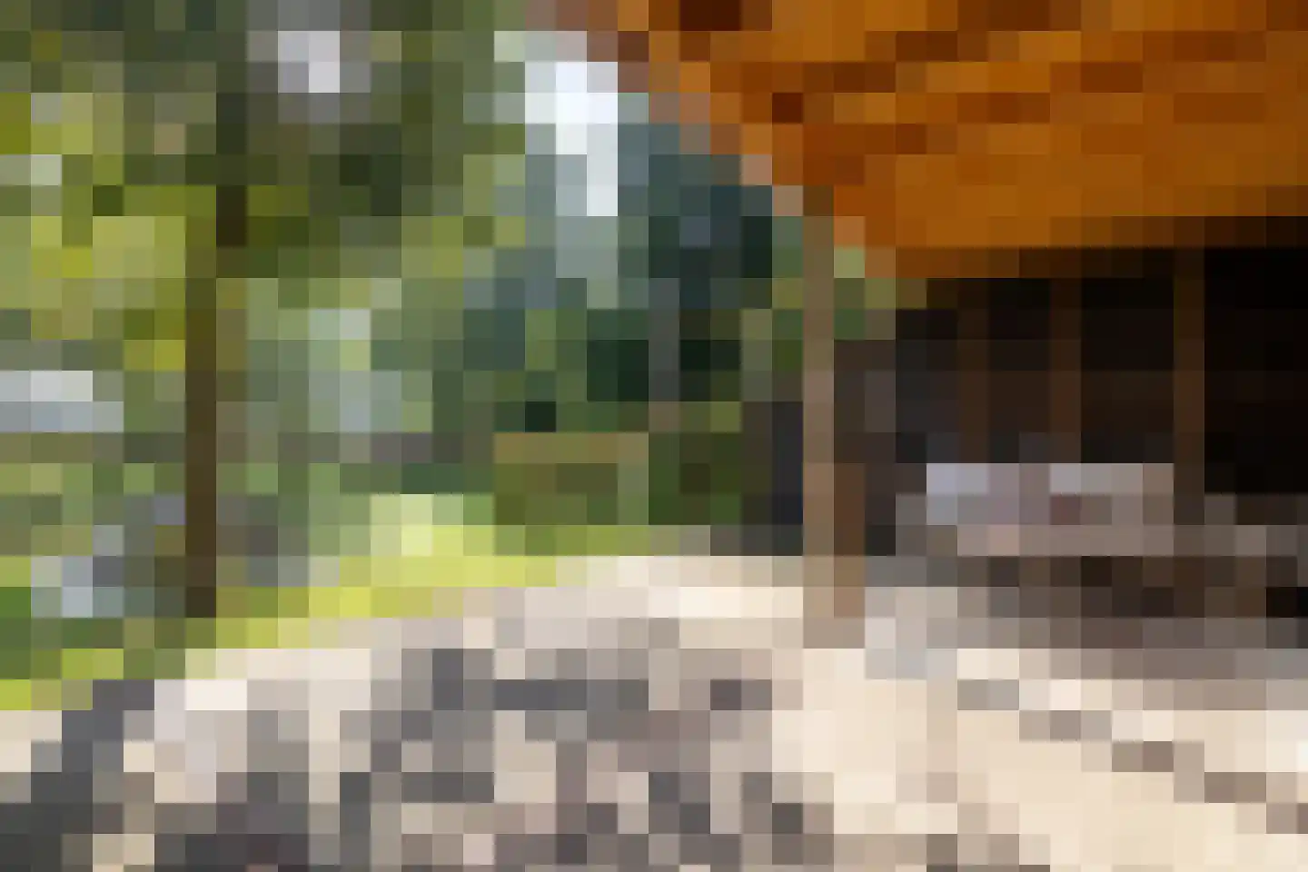 Keppelseweg 337 Doetinchem thumbnail 72