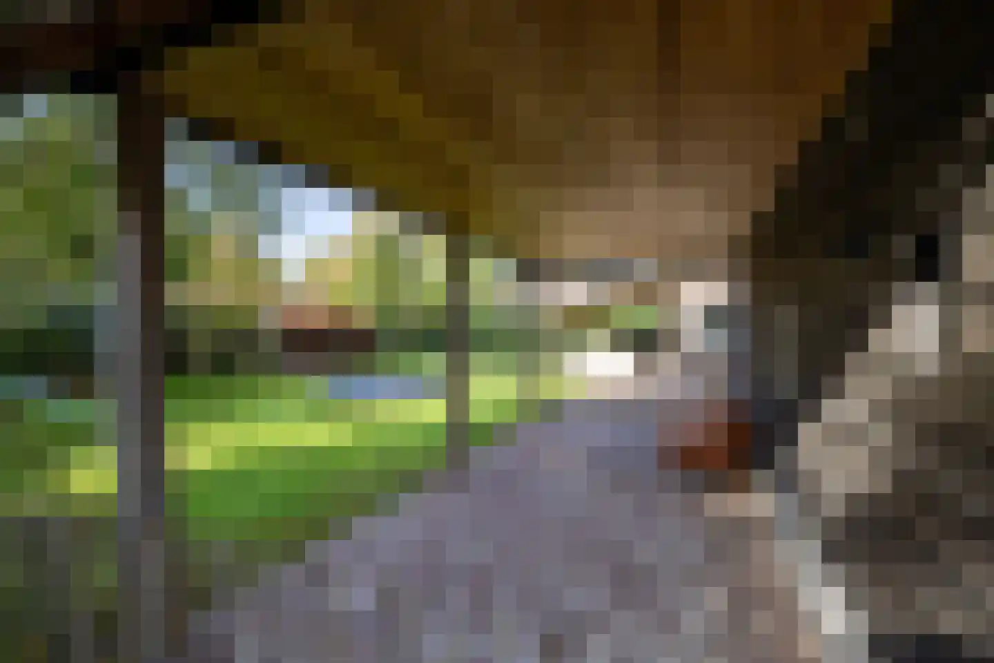 Keppelseweg 337 Doetinchem thumbnail 76