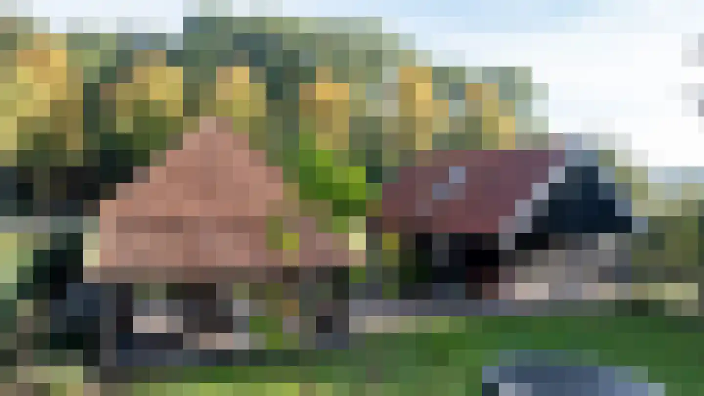 Keppelseweg 337 Doetinchem thumbnail 86