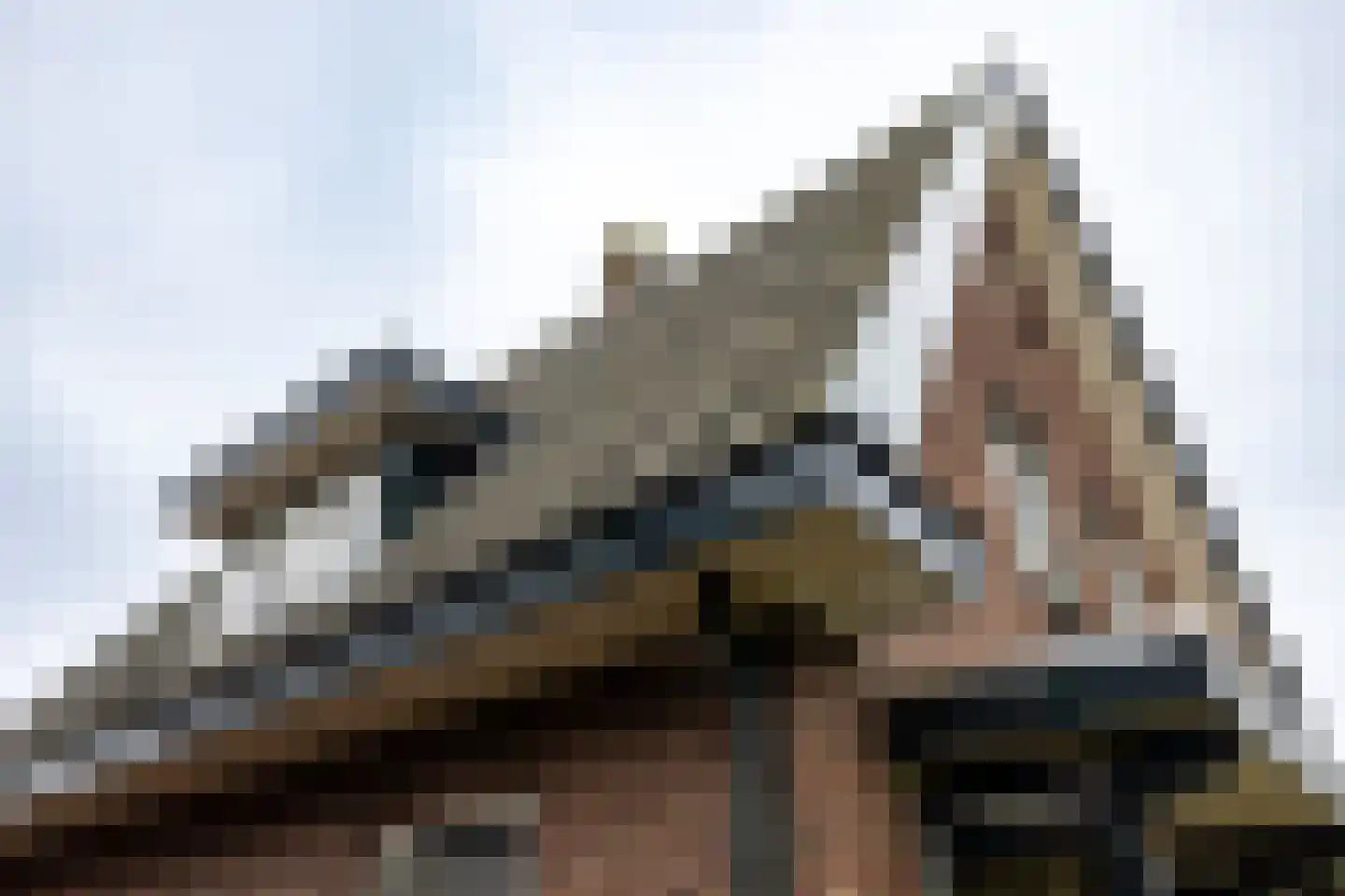 Keppelseweg 410 Doetinchem thumbnail 37