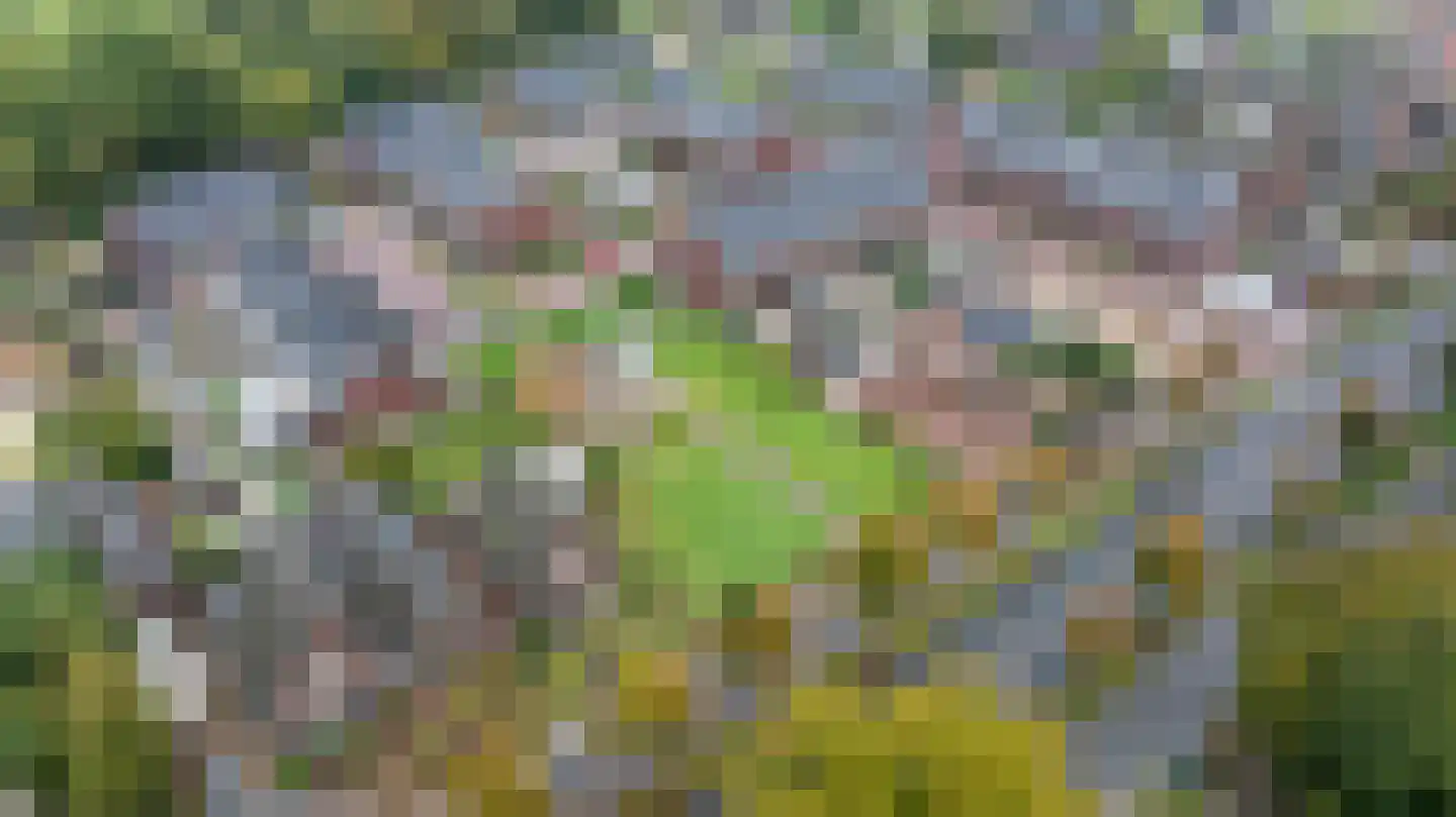 Keppelseweg 410 Doetinchem thumbnail 60