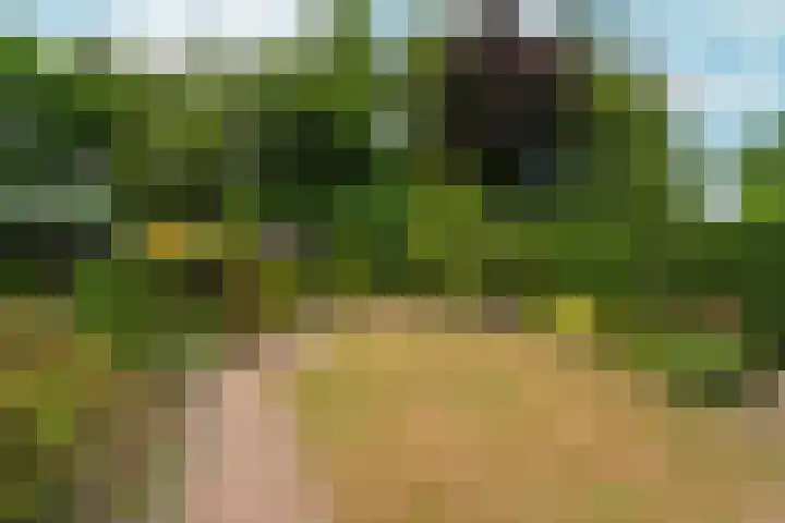 Keppelseweg 64 A Doetinchem thumbnail 22