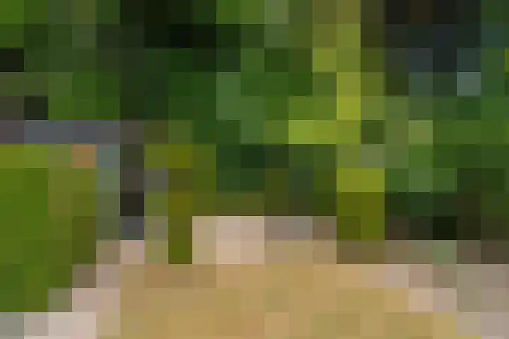 Keppelseweg 64 A Doetinchem thumbnail 24