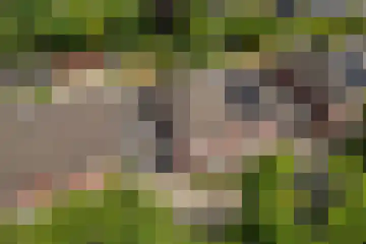 Keppelseweg 64 A Doetinchem thumbnail 49