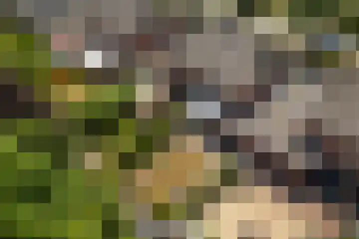 Keppelseweg 64 A Doetinchem thumbnail 50