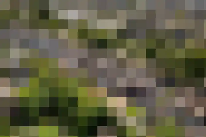 Keppelseweg 64 A Doetinchem thumbnail 51