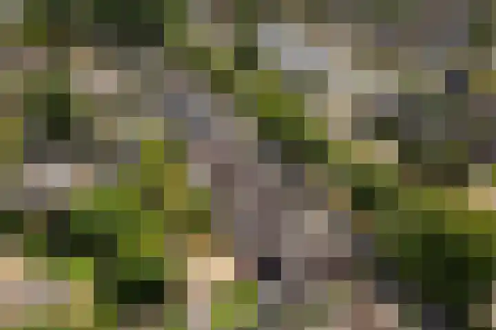 Keppelseweg 64 A Doetinchem thumbnail 52