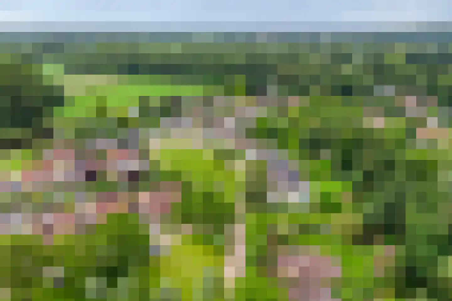 Keppelskamp 20 Lochem thumbnail 12
