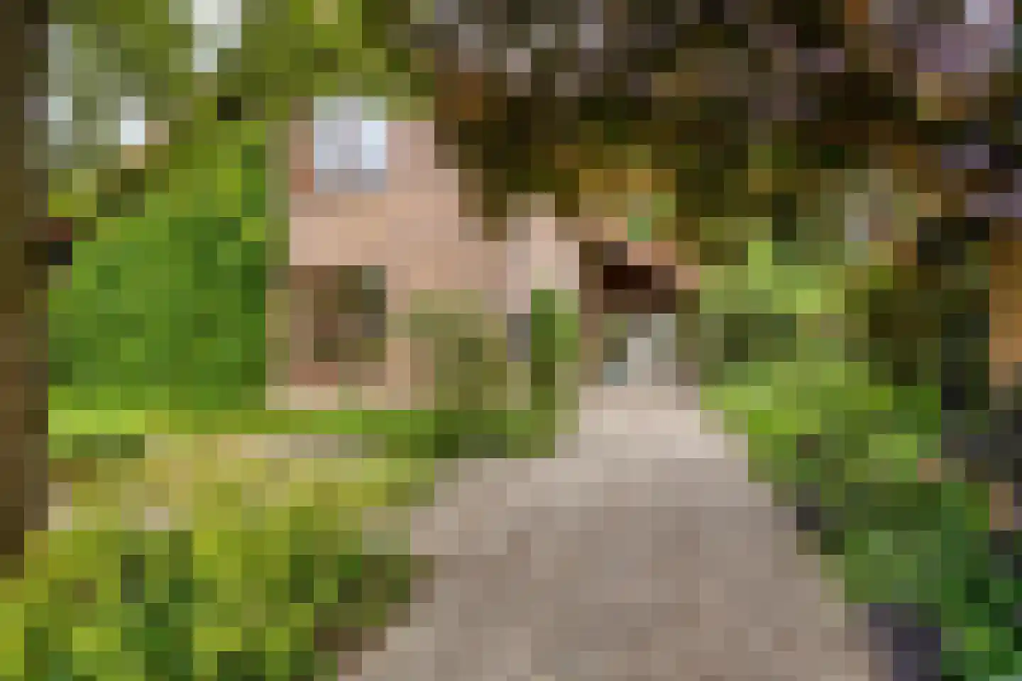 Keppelskamp 20 Lochem thumbnail 13