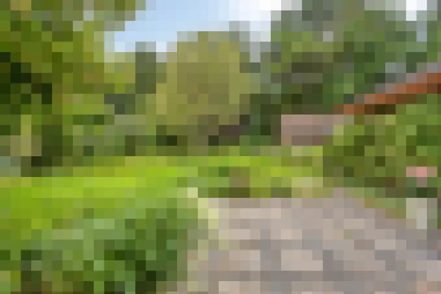 Keppelskamp 20 Lochem thumbnail 15