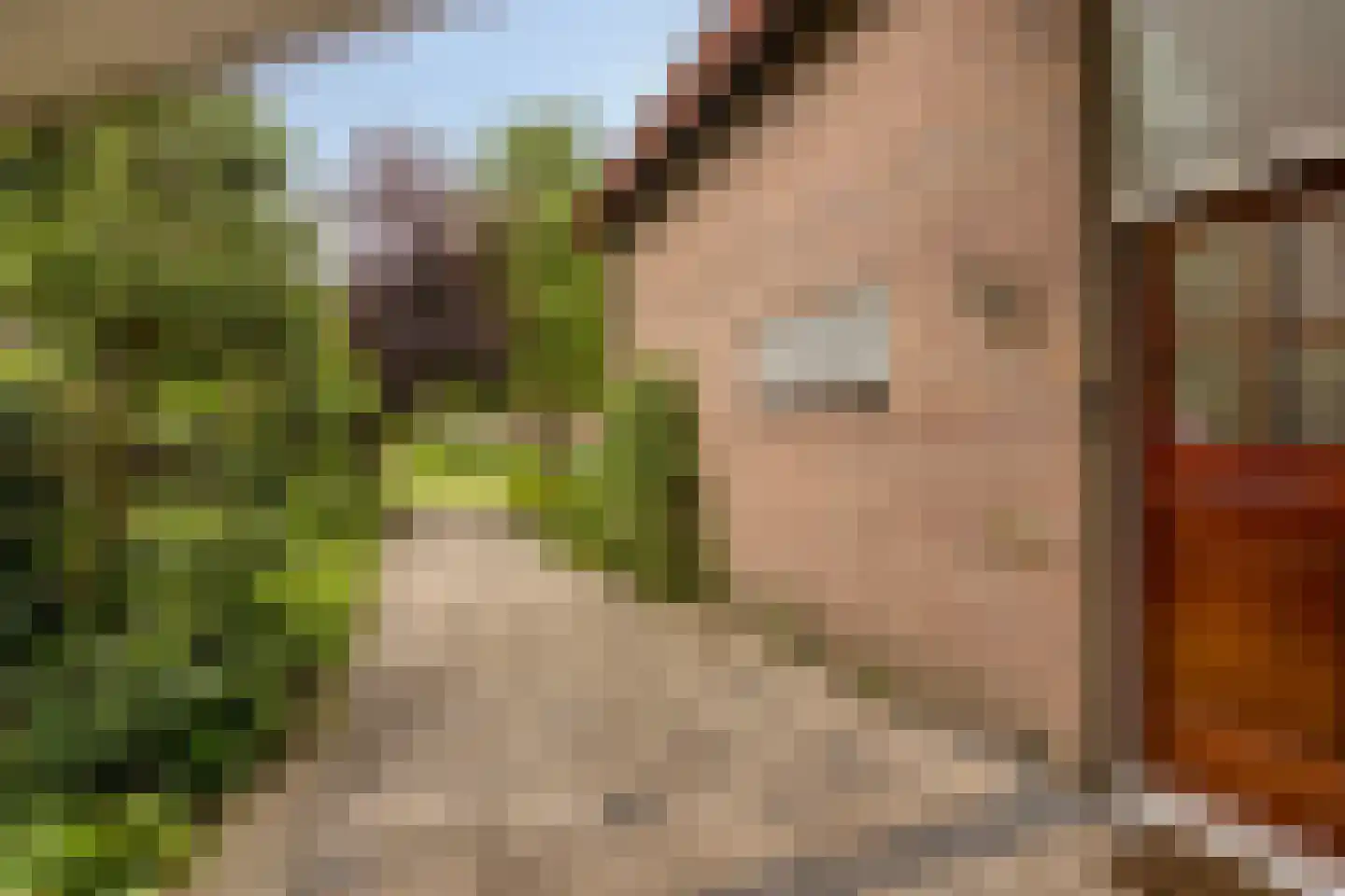 Keppelskamp 20 Lochem thumbnail 17
