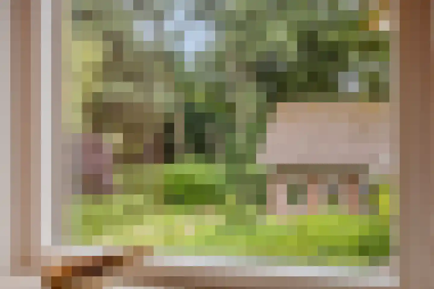Keppelskamp 20 Lochem thumbnail 45