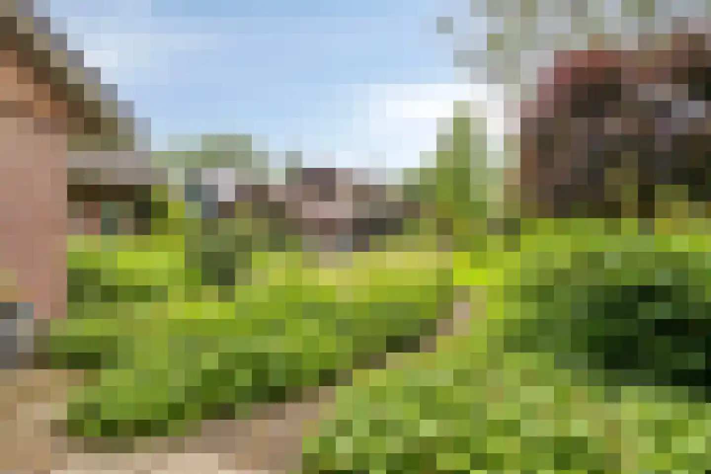 Keppelskamp 20 Lochem thumbnail 51