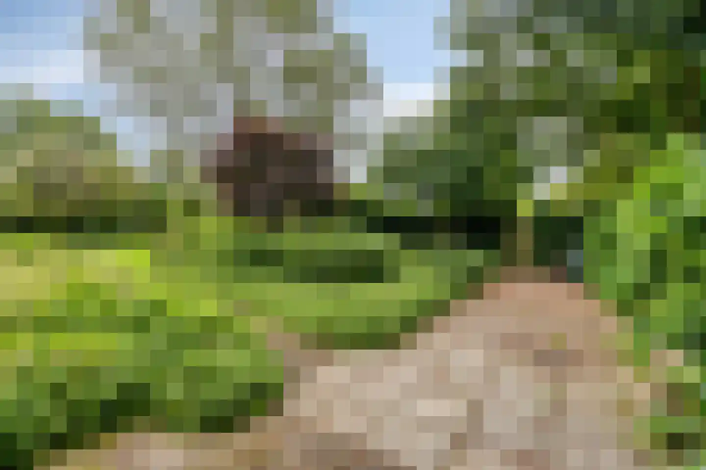 Keppelskamp 20 Lochem thumbnail 52