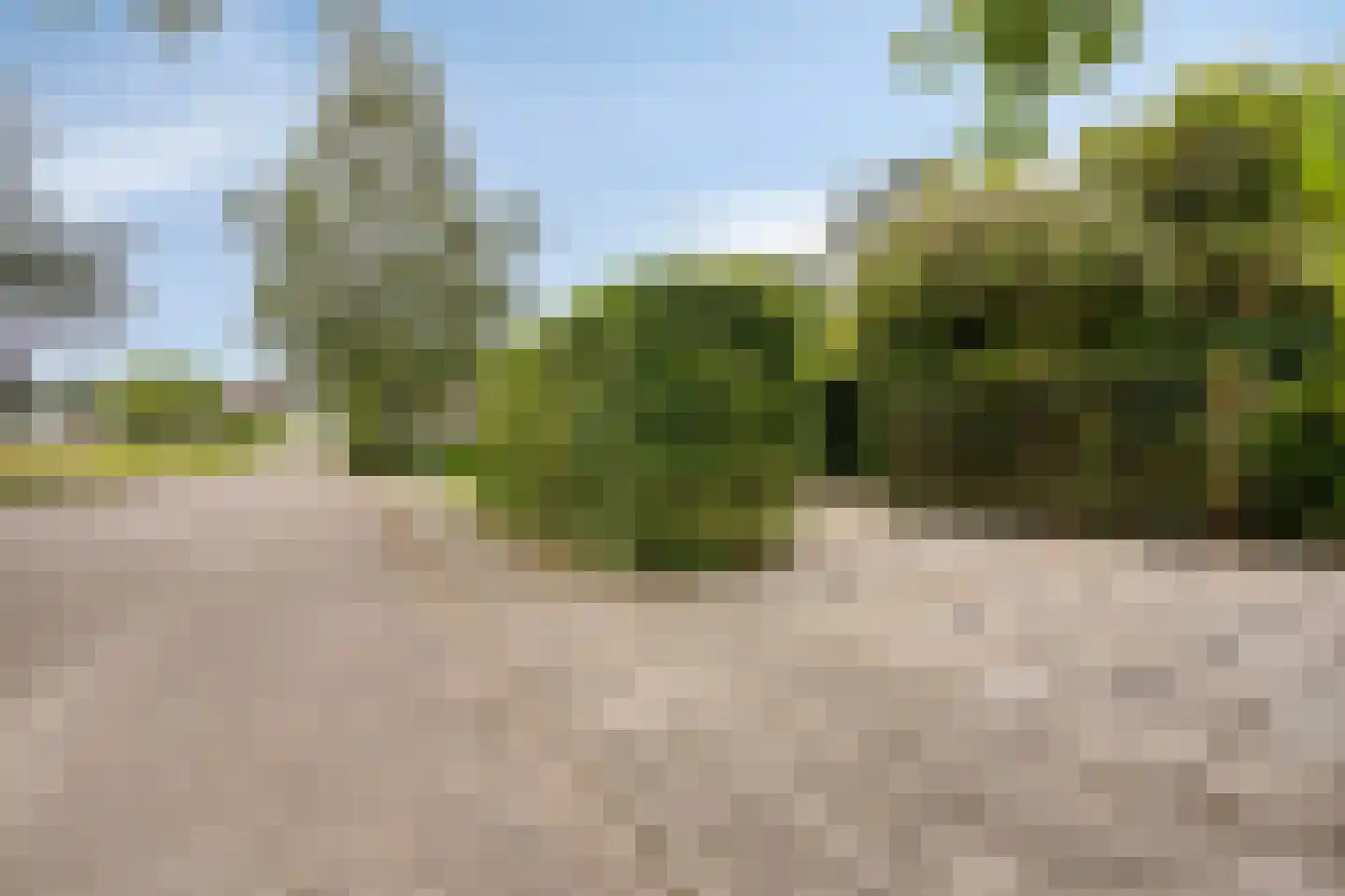 Keppelskamp 20 Lochem thumbnail 53