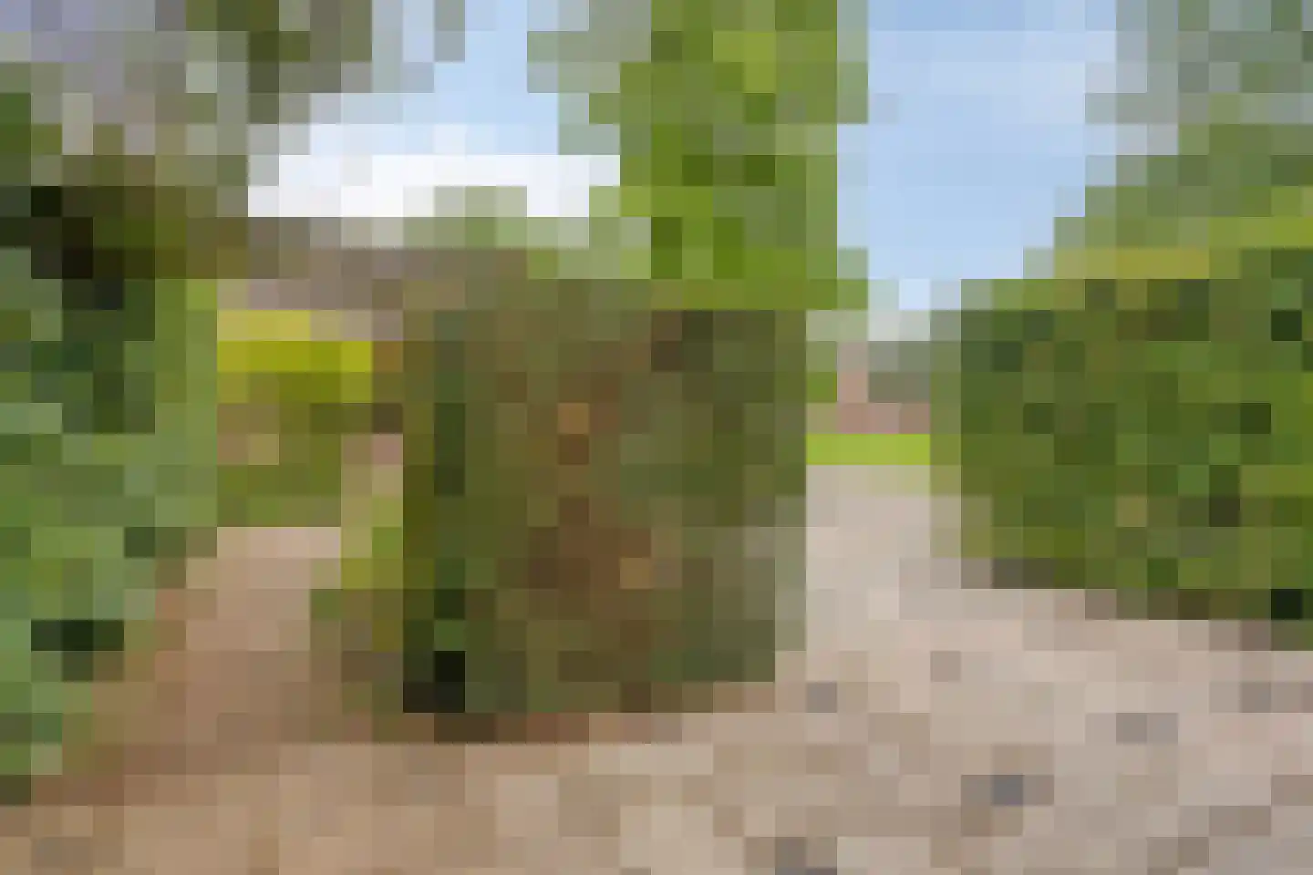 Keppelskamp 20 Lochem thumbnail 54