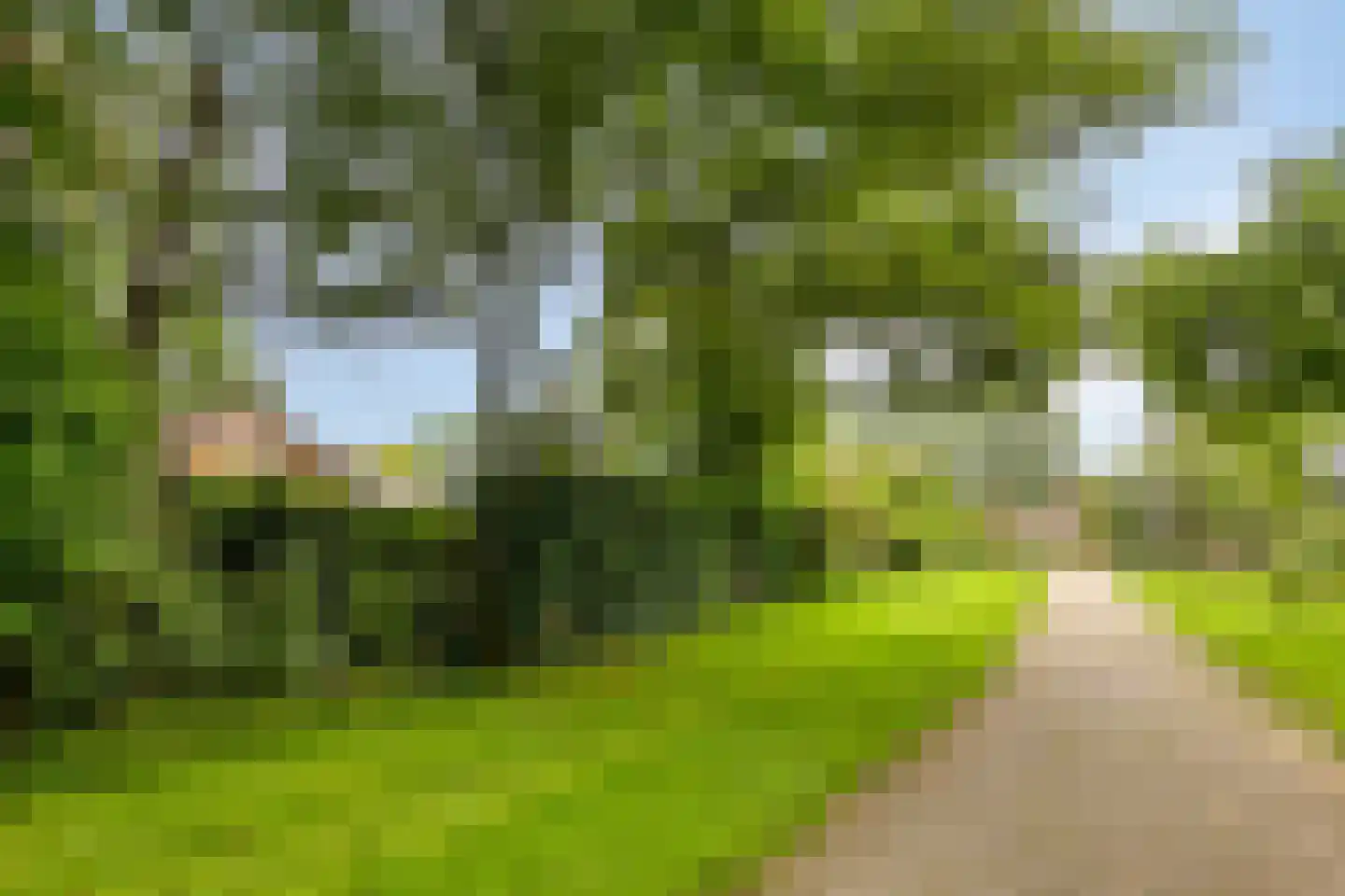 Keppelskamp 20 Lochem thumbnail 65