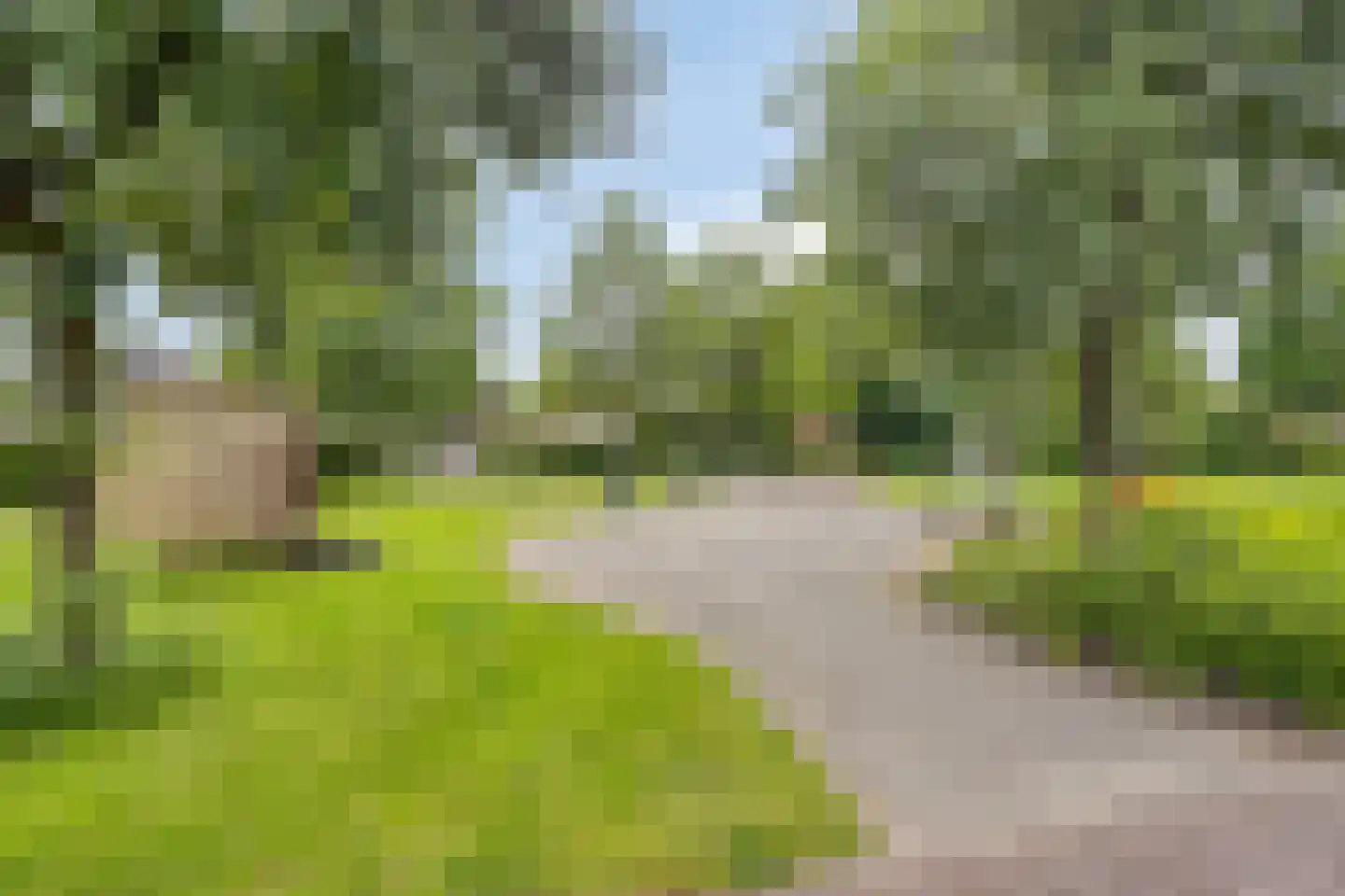 Keppelskamp 20 Lochem thumbnail 66