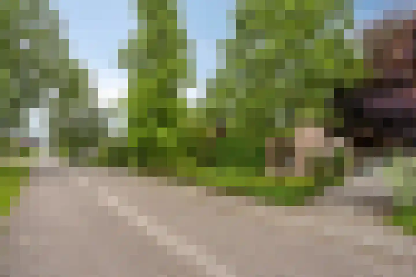 Keppelskamp 20 Lochem thumbnail 67