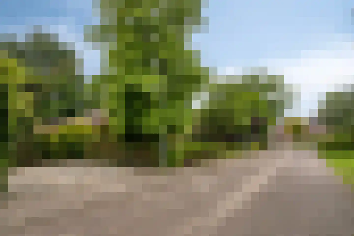 Keppelskamp 20 Lochem thumbnail 68