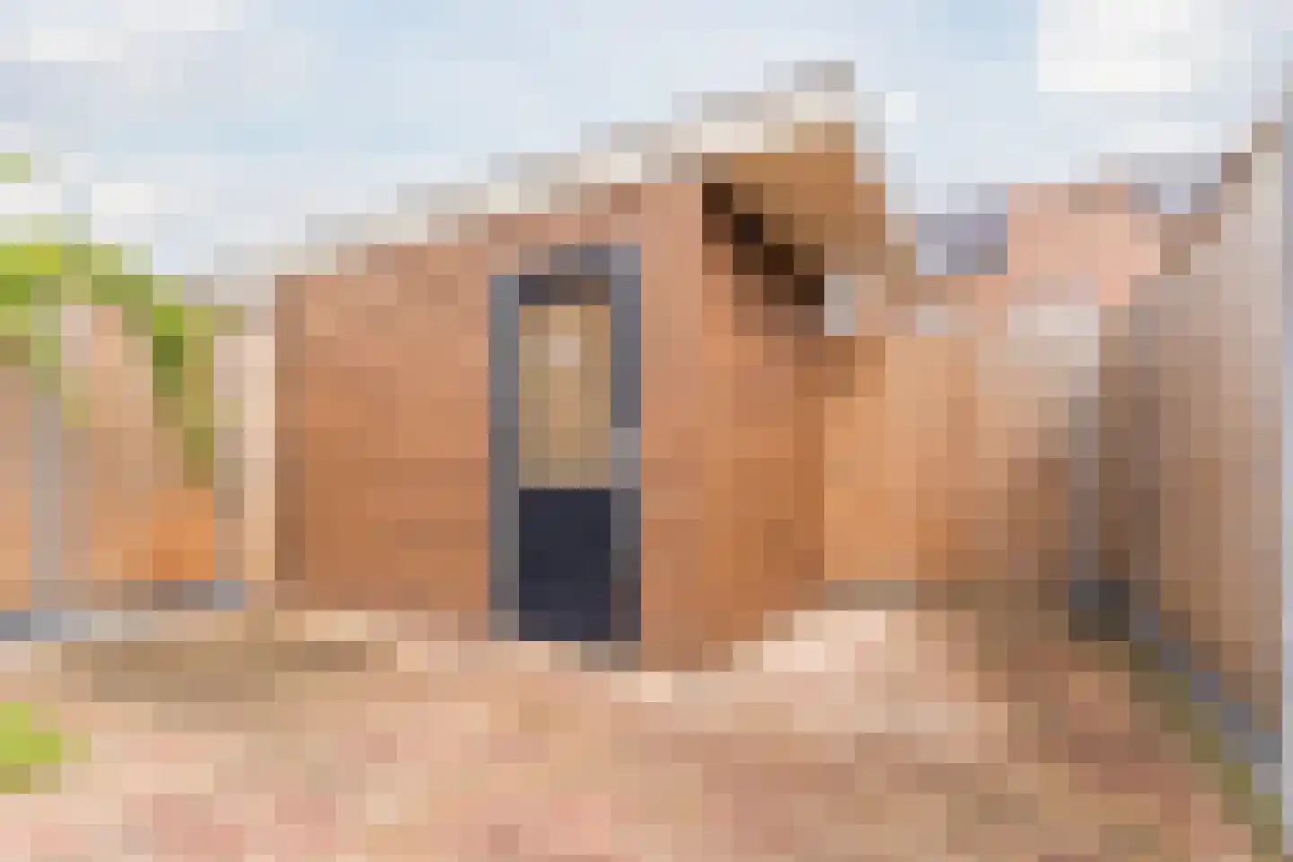 Keppelsloot 19 Broek op Langedijk thumbnail 33