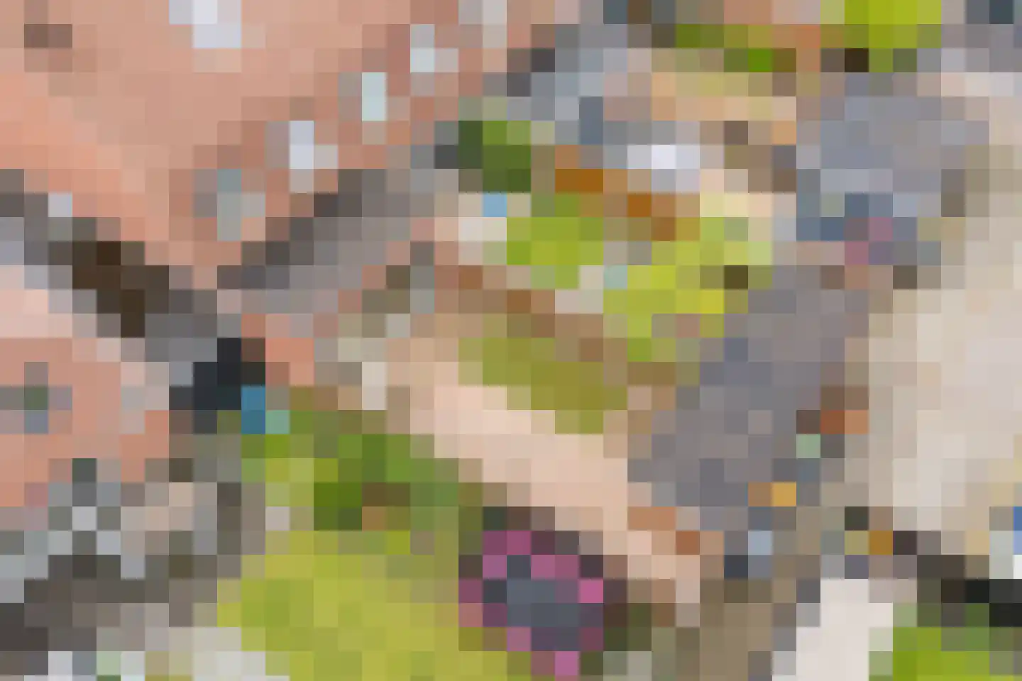 Keppelsloot 19 Broek op Langedijk thumbnail 38