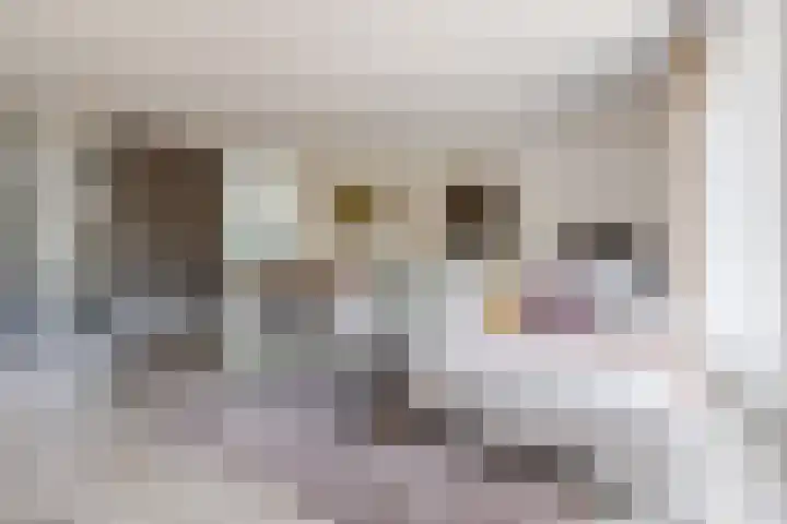 Keppelsloot 5 Broek op Langedijk thumbnail 14