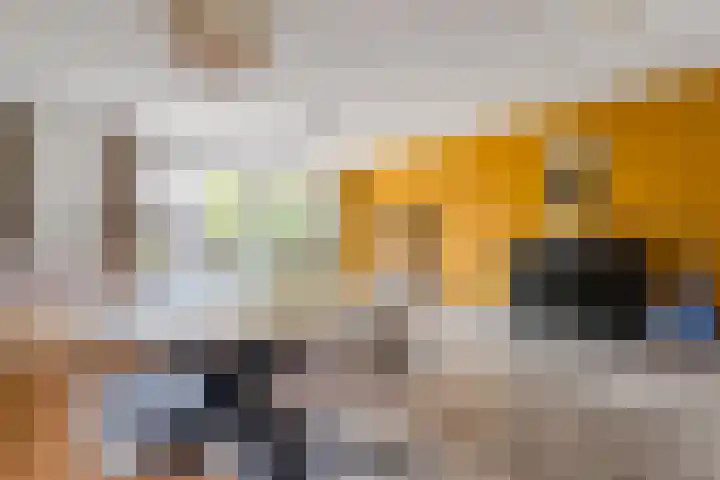 Keppelsloot 5 Broek op Langedijk thumbnail 16