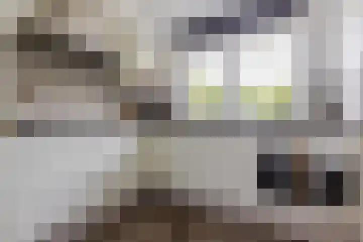 Keppelsloot 5 Broek op Langedijk thumbnail 18