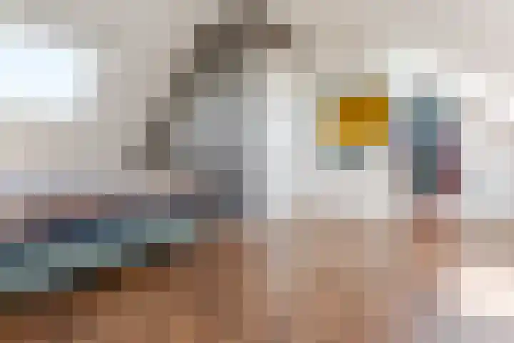 Keppelsloot 5 Broek op Langedijk thumbnail 37