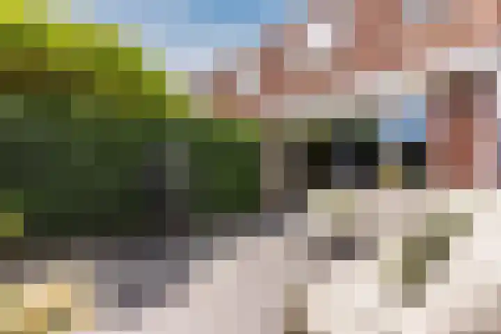 Keppelsloot 5 Broek op Langedijk thumbnail 39