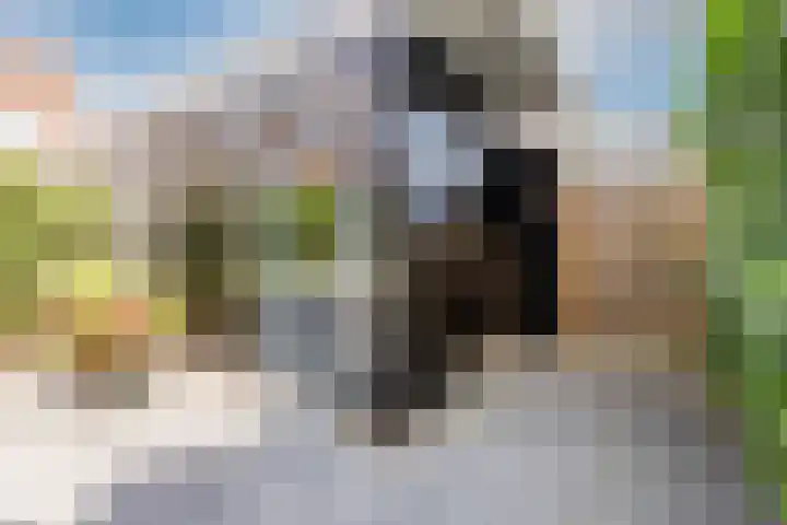Keppelsloot 5 Broek op Langedijk thumbnail 41